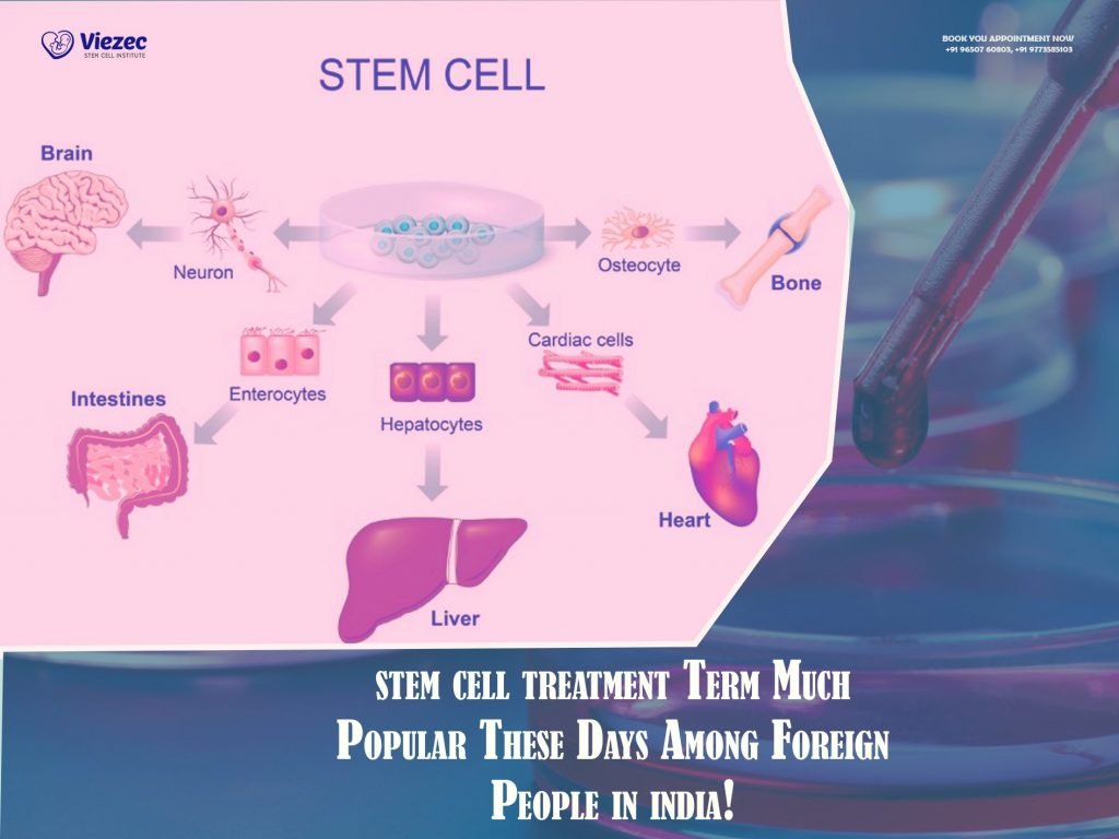 How Can stem cell treatment Help for organ Patient
