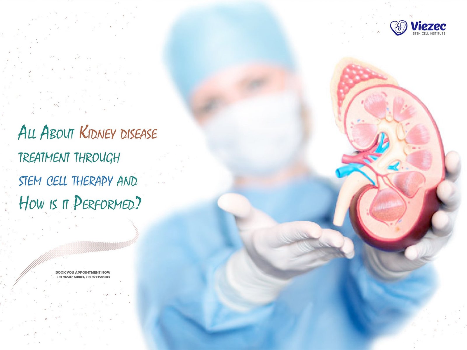 All About Kidney disease treatment through stem cell therapy and How is it Performed