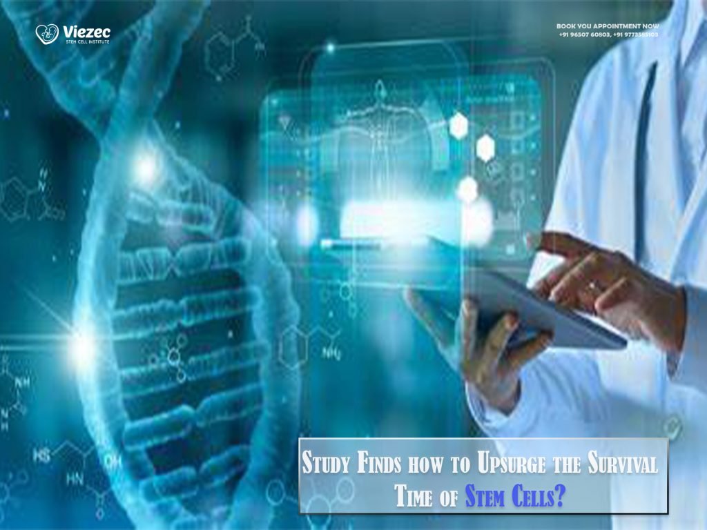 Study Finds how to Upsurge the Survival Time of Stem Cells