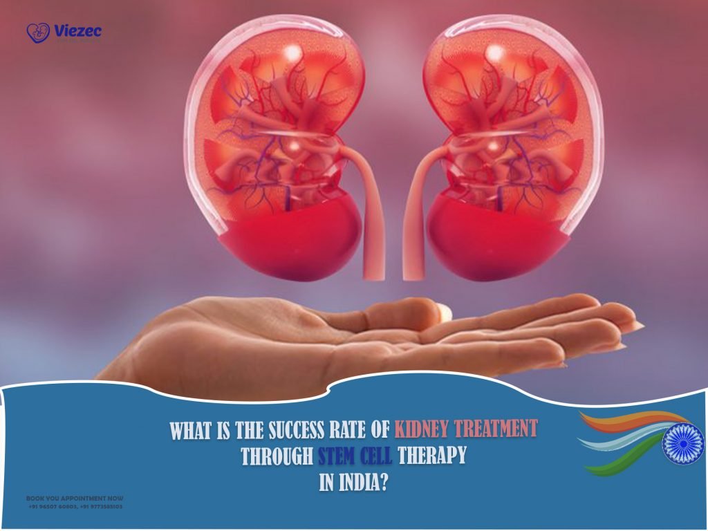 What Is The Success Rate Of Kidney Treatment through stem cell therapy in india