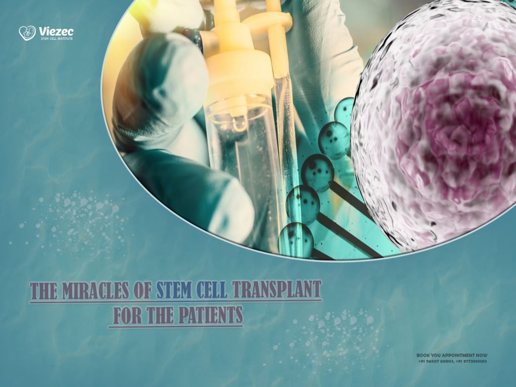 What Is It Stem Cell Transplant Is Safe