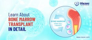 Stem Cell Bone Marrow Transplant in Delhi