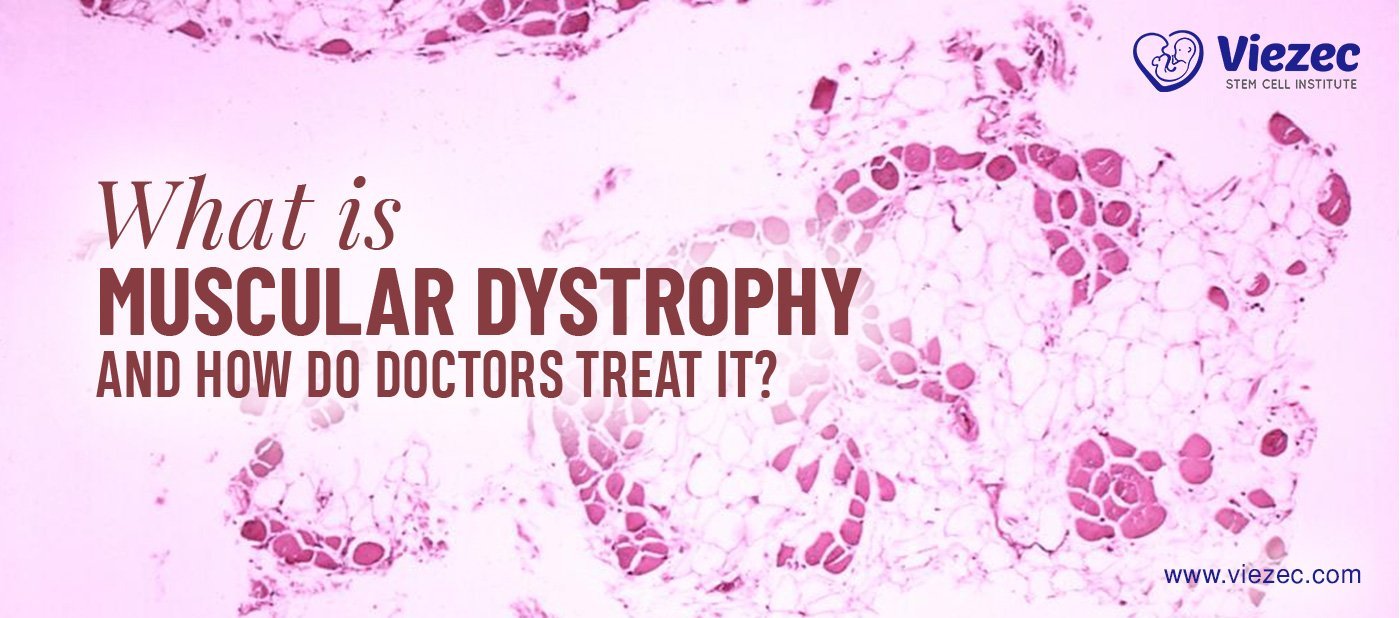 Stem cell Treatment for Muscular Dystrophy in India