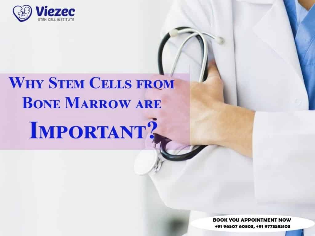 Stem Cell Bone Marrow Transplant