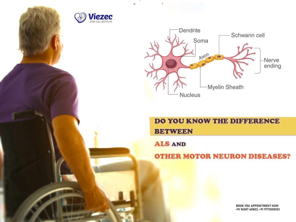 ALS and Other Motor Neuron Diseases