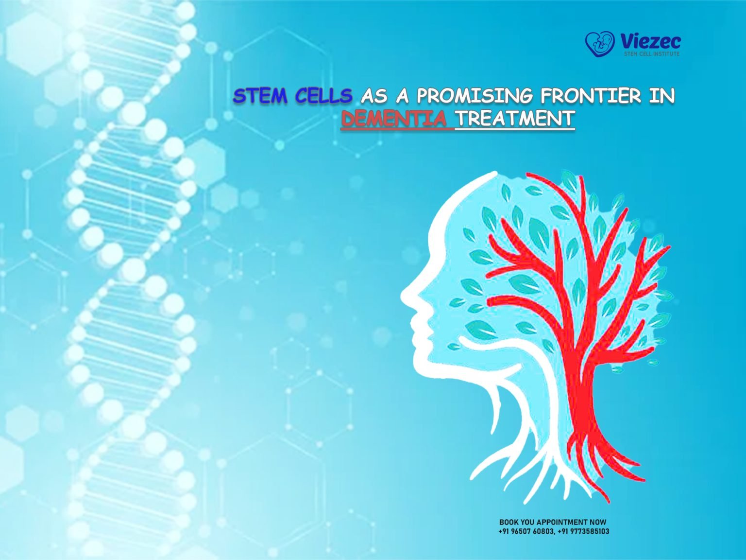 Stem Cells As A Promising Frontier In Dementia Treatment