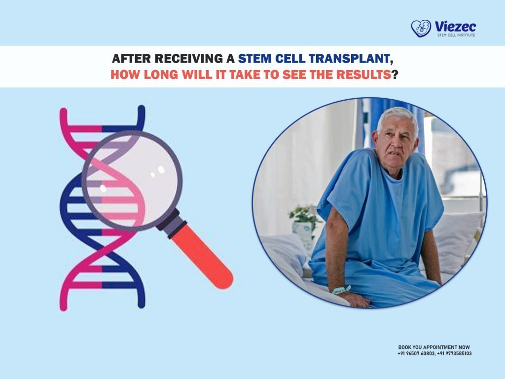 After receiving a stem cell transplant, how long will it take to see the results?