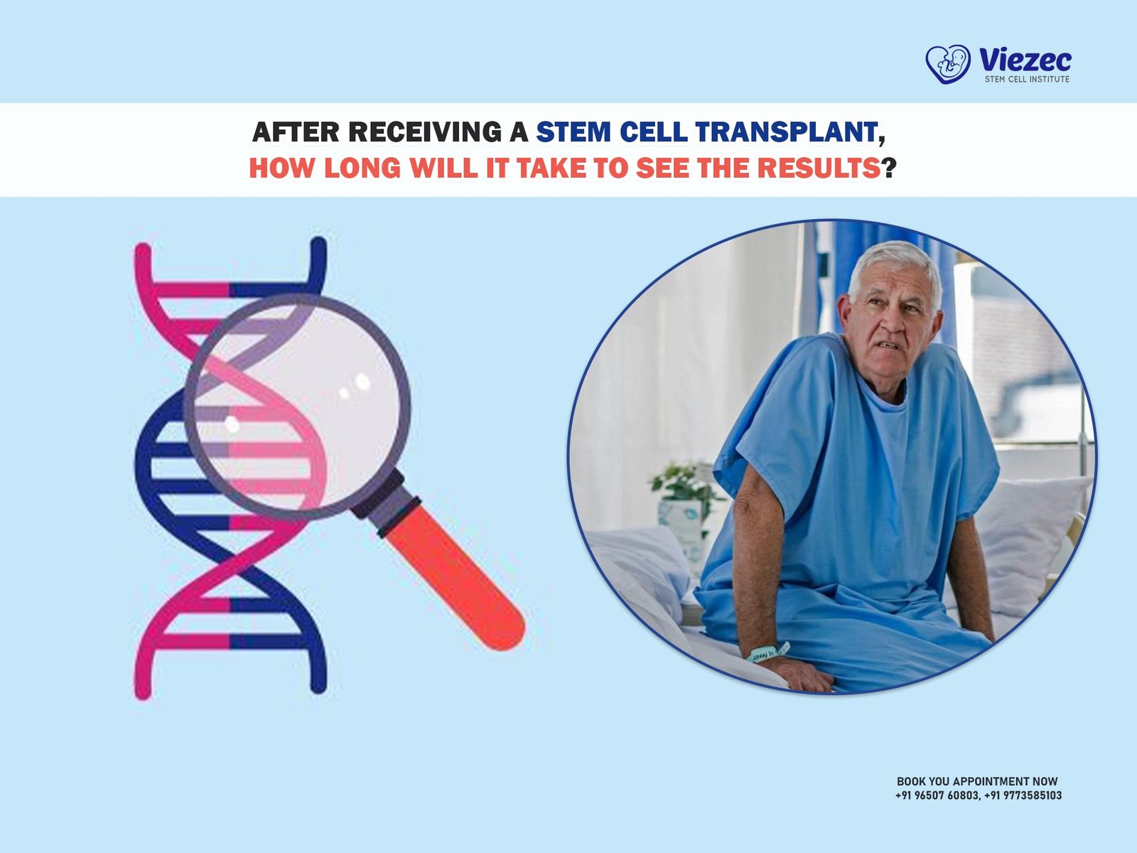 After receiving a stem cell transplant, how long will it take to see the results?