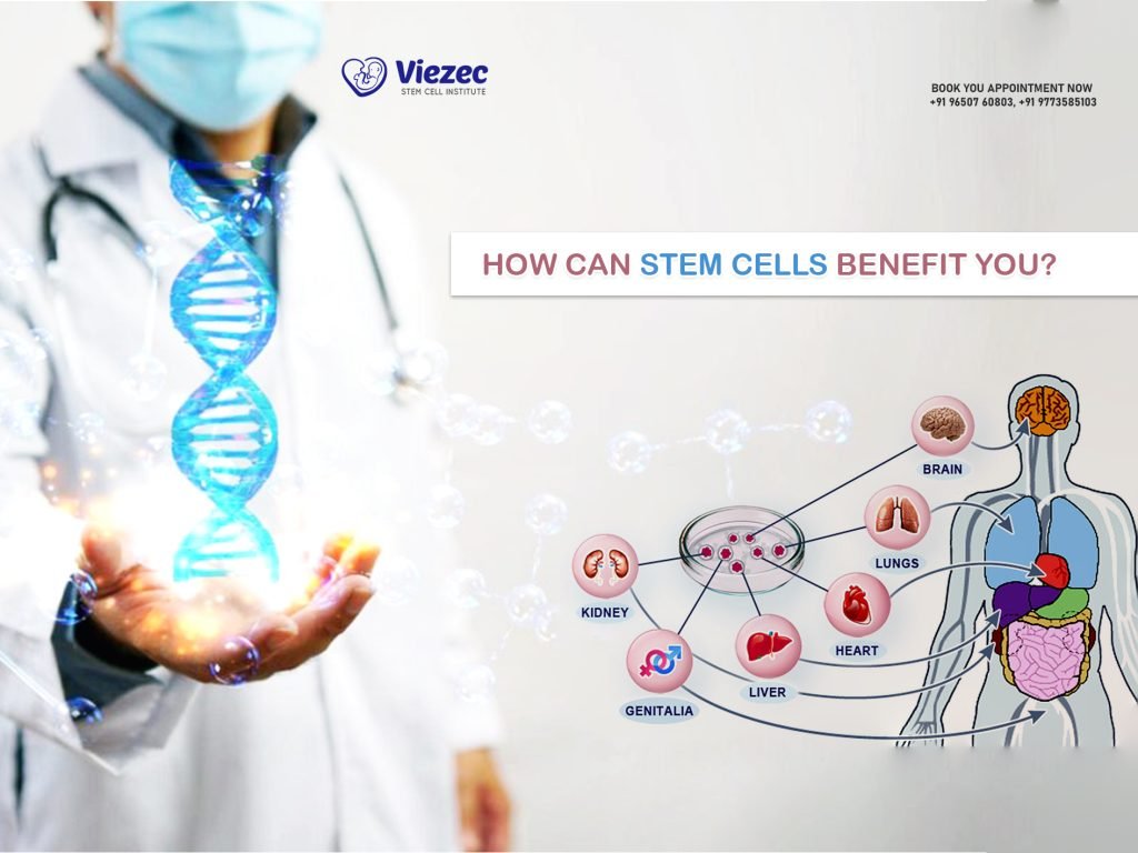 How Can Stem Cells Benefit You?