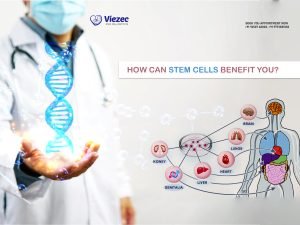How Can Stem Cells Benefit You?