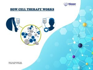 How Cell Therapy Works