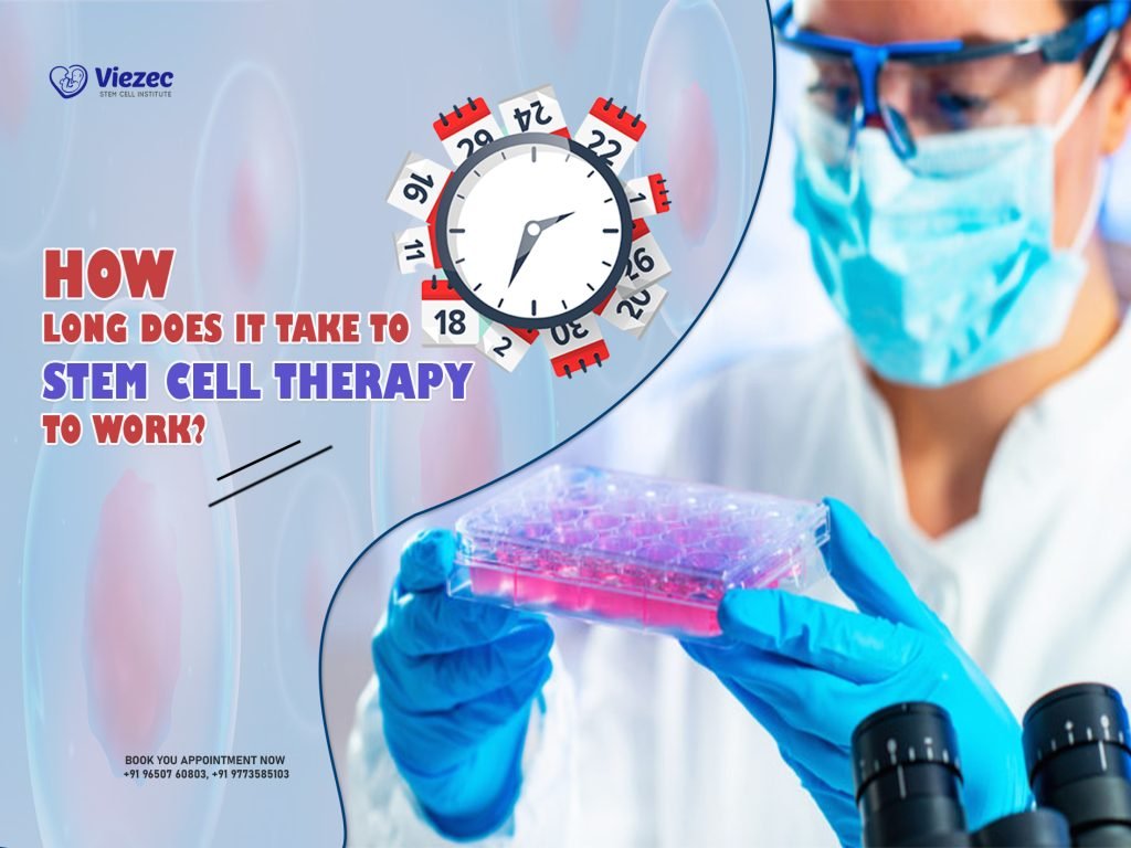 How Long Does It Take To Stem Cell Therapy To Work?