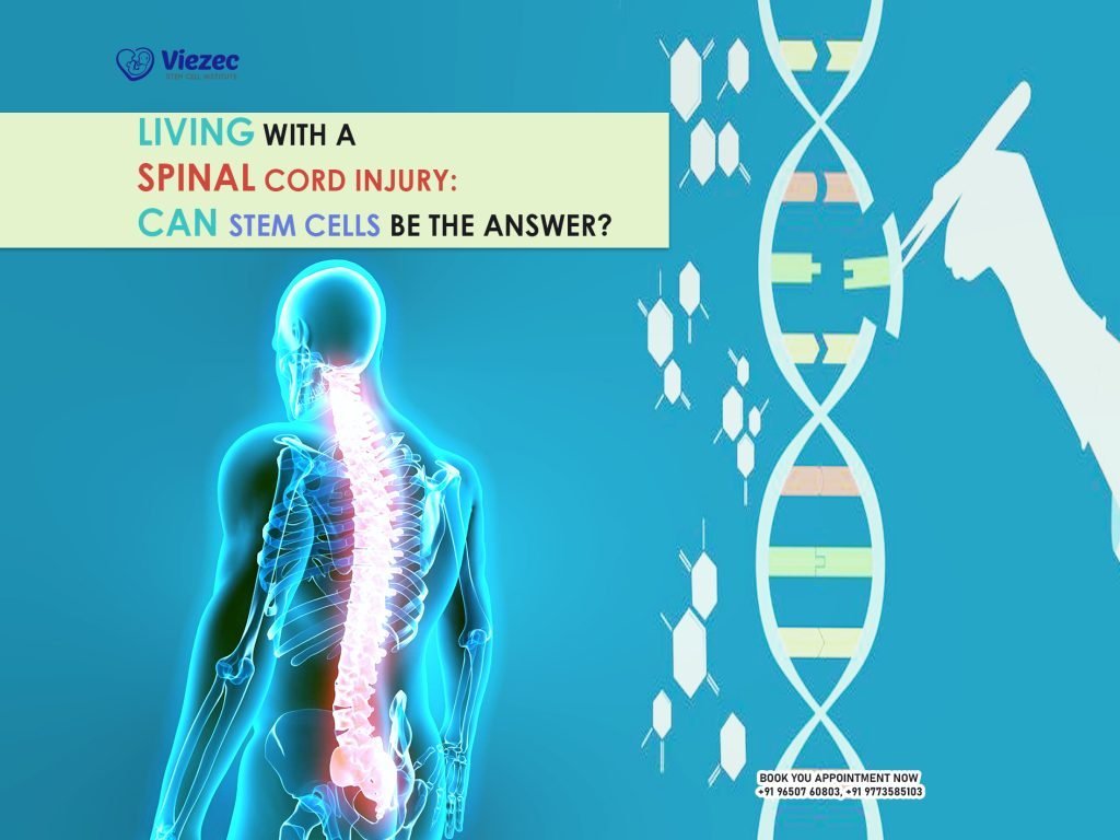 Living With a Spinal Cord Injury: Can Stem Cells Be the Answer?