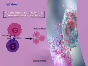 Natural Killer Cell Treatment & Immunotherapy w/ NK Cells