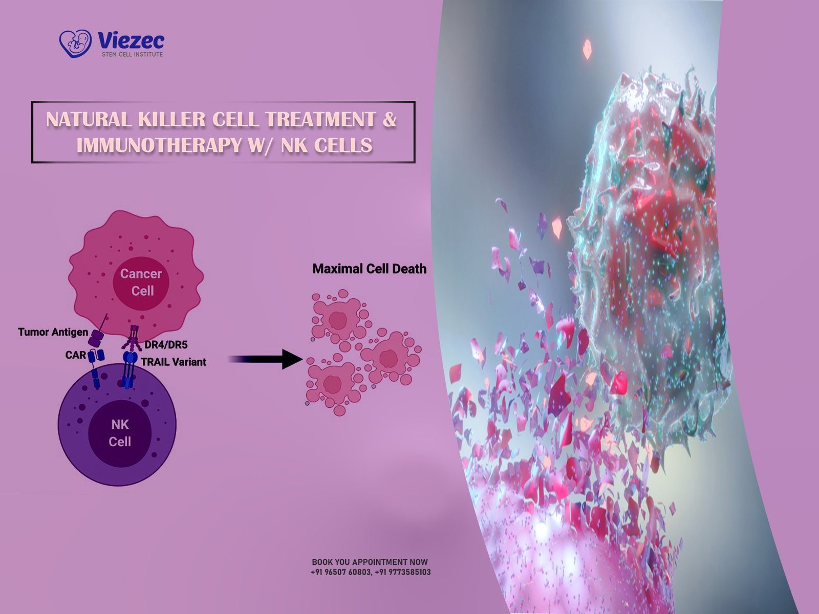 Natural Killer Cell Treatment & Immunotherapy w/ NK Cells
