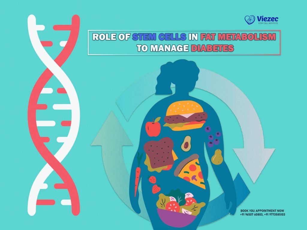 Role of Stem Cells in Fat Metabolism to Manage Diabetes