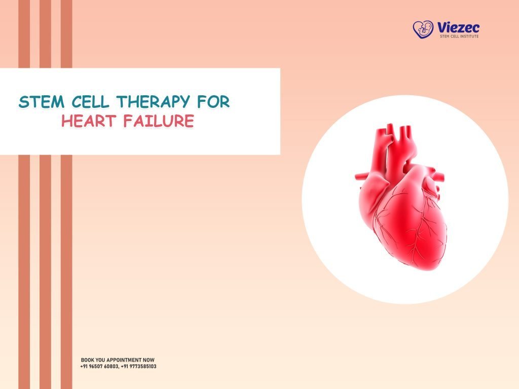 Stem Cell Therapy for Heart Failure