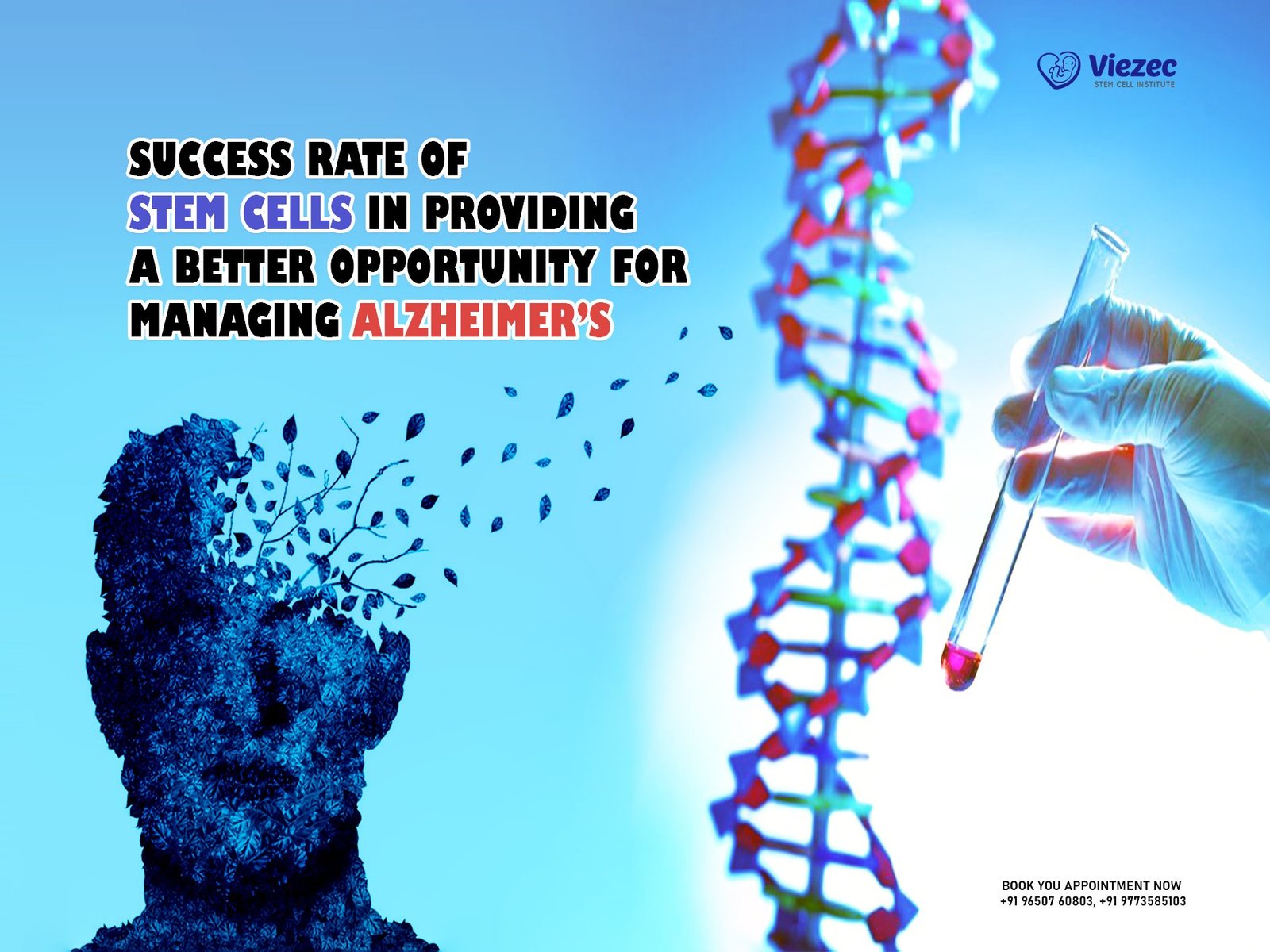 Success Rate of Stem Cells in Providing a Better Opportunity for Managing Alzheimer’s