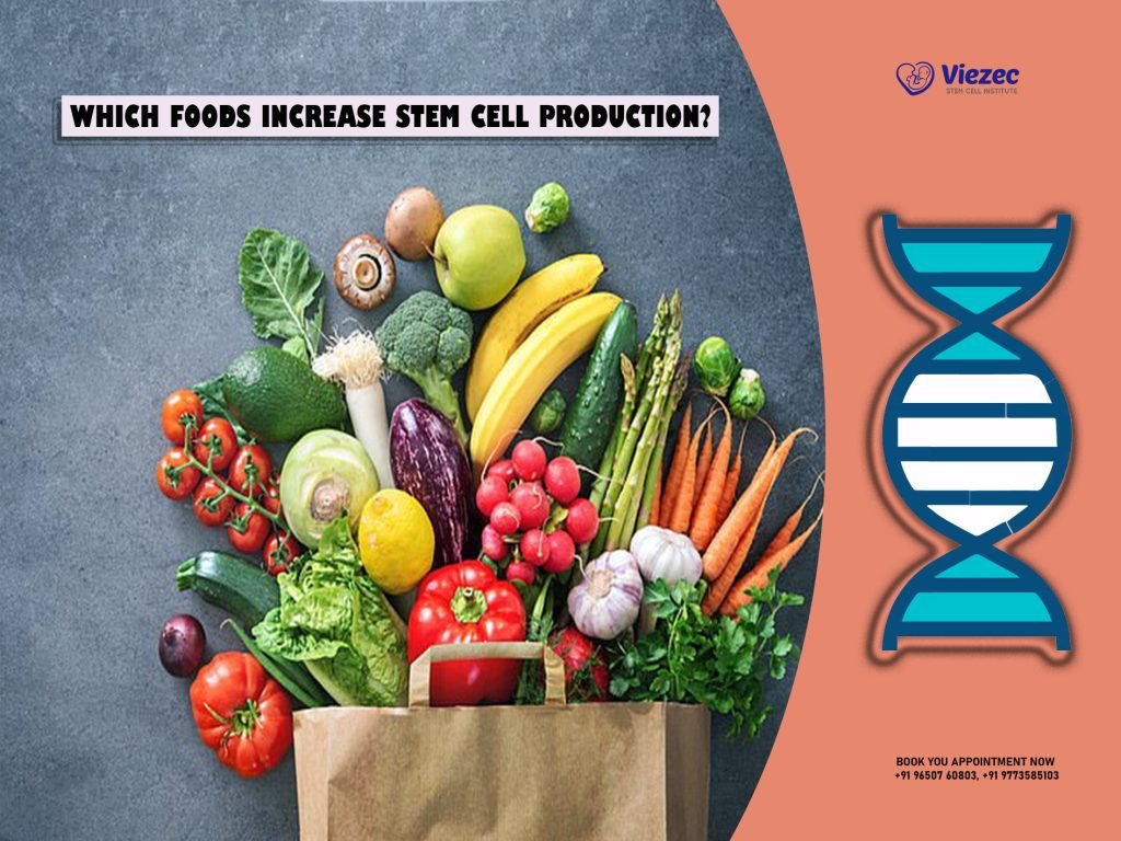 Which Foods Increase Stem Cell Production?