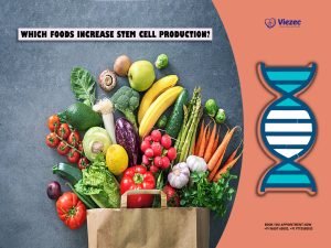 Which Foods Increase Stem Cell Production?