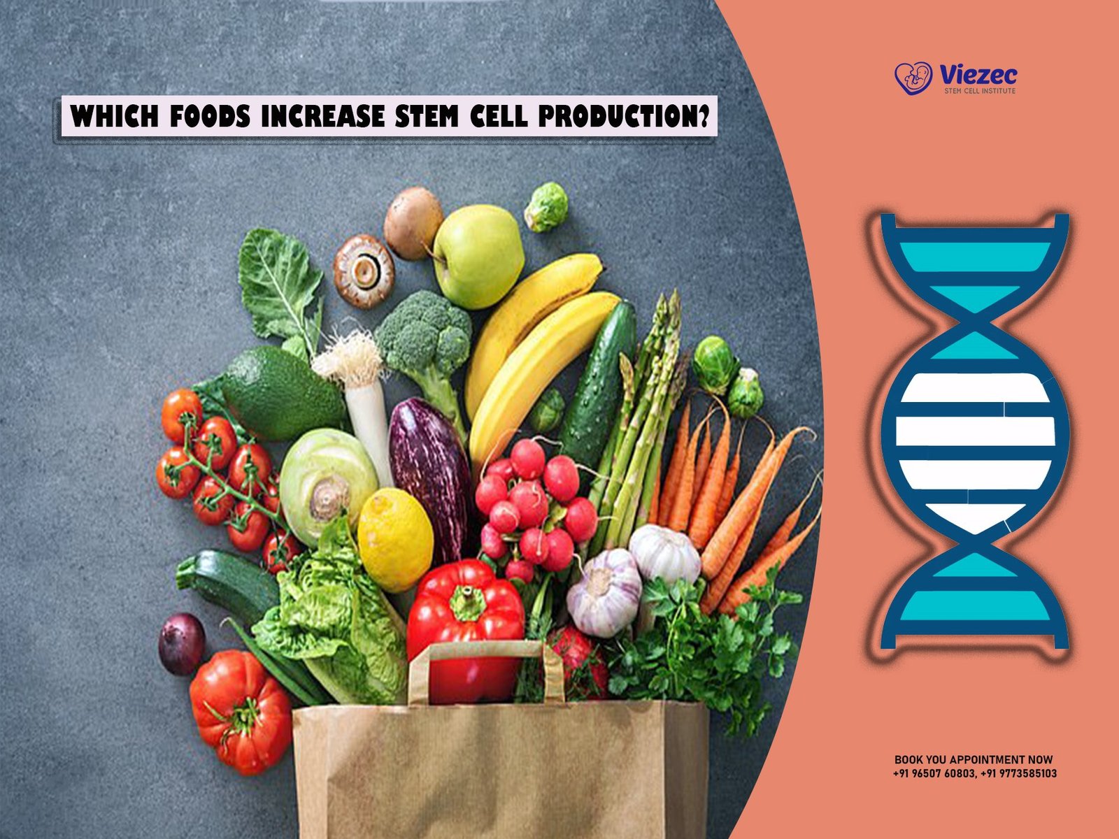 Which Foods Increase Stem Cell Production?