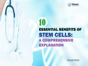 10 Essential Benefits of Stem Cells: A Comprehensive Explanation