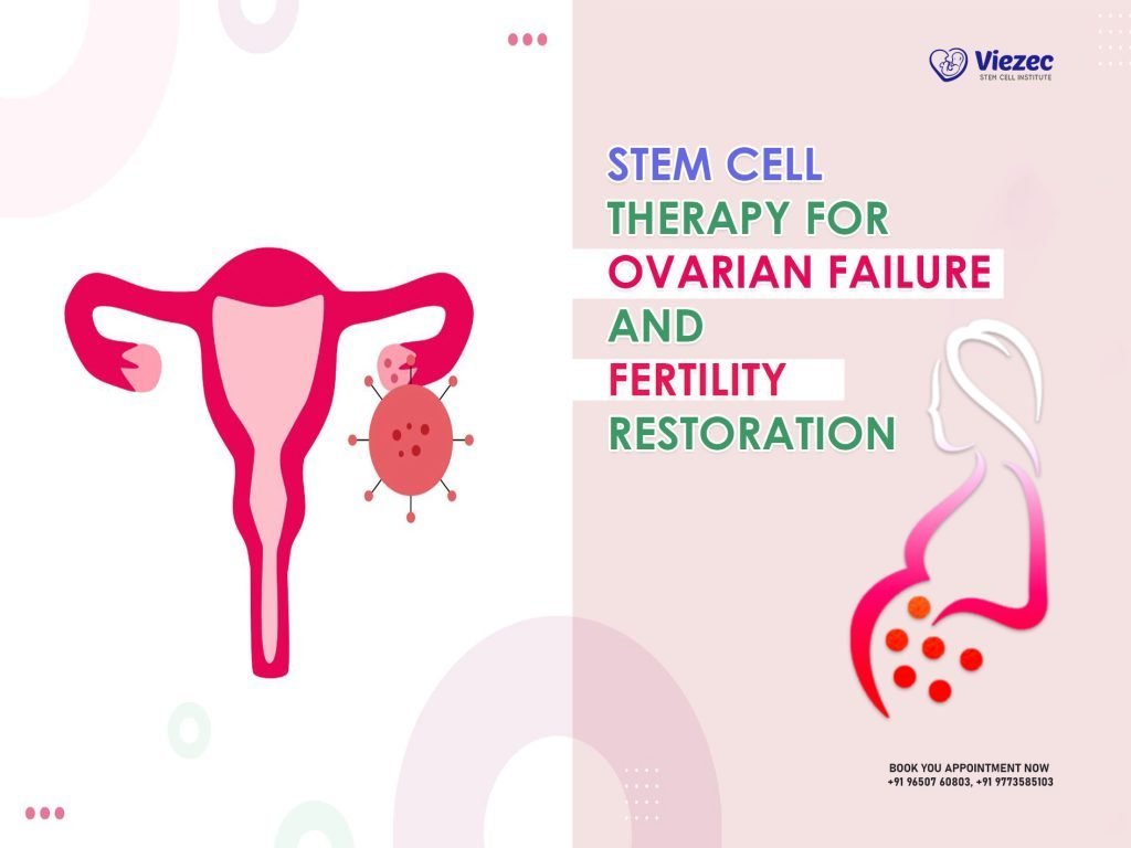 Stem Cell Therapy for Ovarian Failure and Fertility Restoration