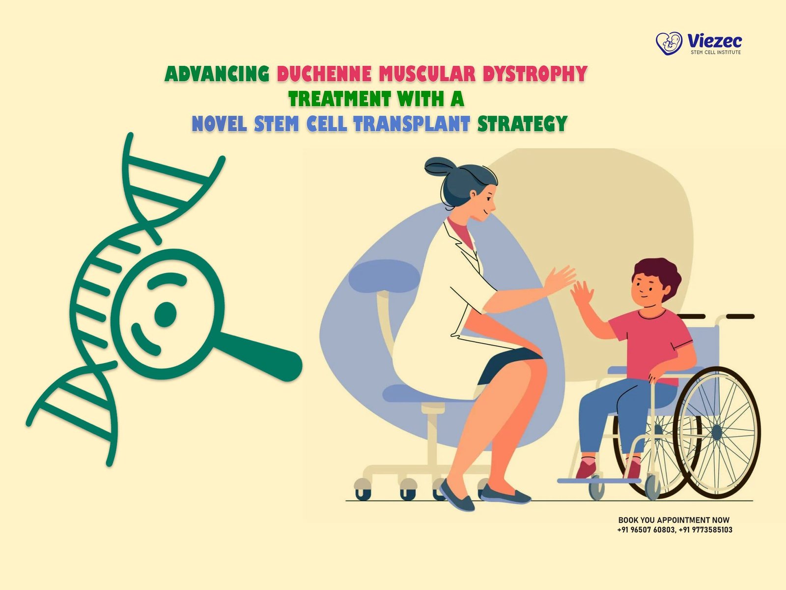 Advancing Duchenne Muscular Dystrophy Treatment with a Novel Stem Cell Transplant Strategy