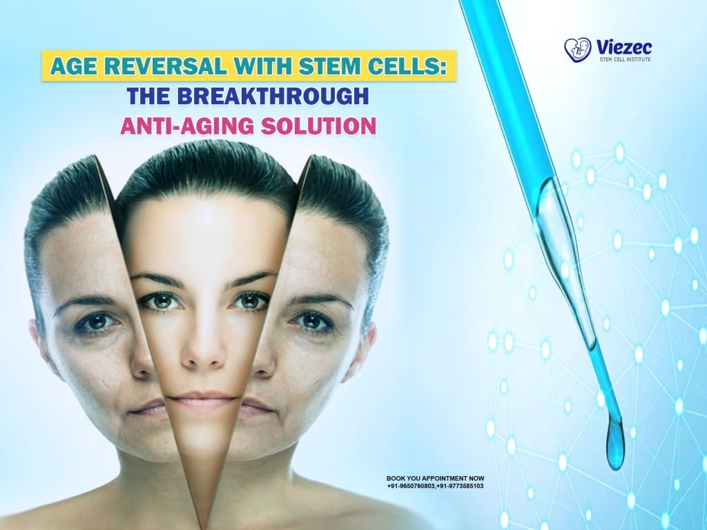 Age Reversal with Stem Cells: The Breakthrough Anti-Aging Solution