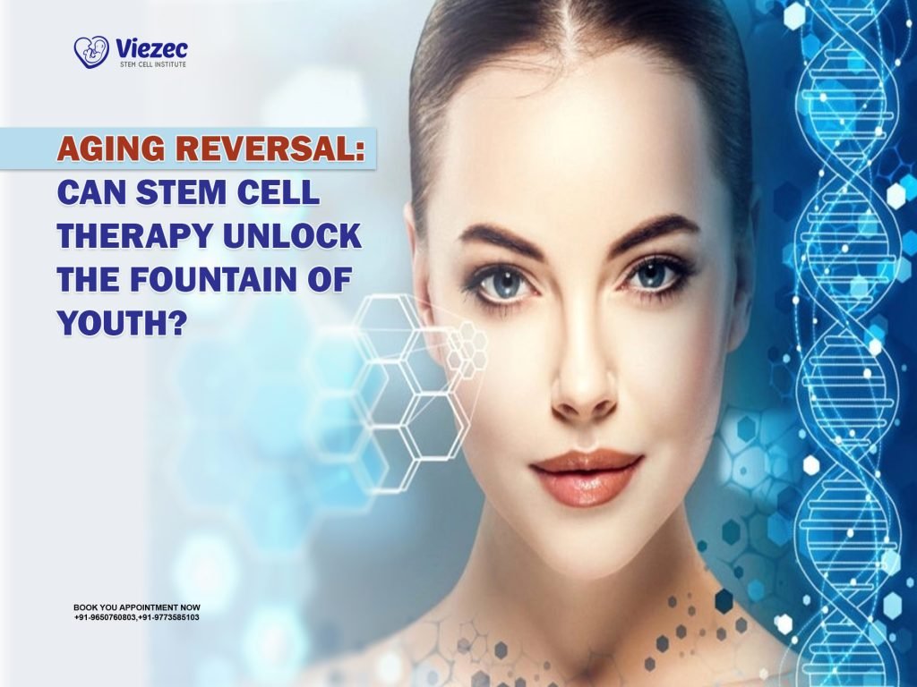 Aging Reversal: Can Stem Cell Therapy Unlock the Fountain of Youth?
