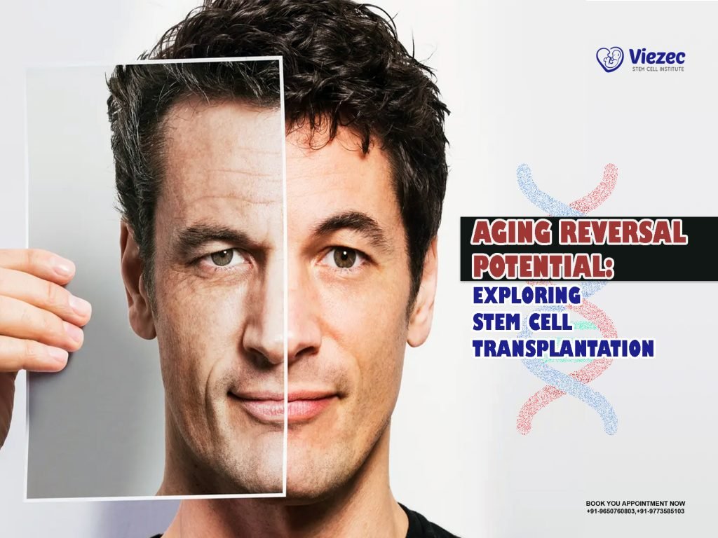 Aging Reversal Potential: Exploring Stem Cell Transplantation