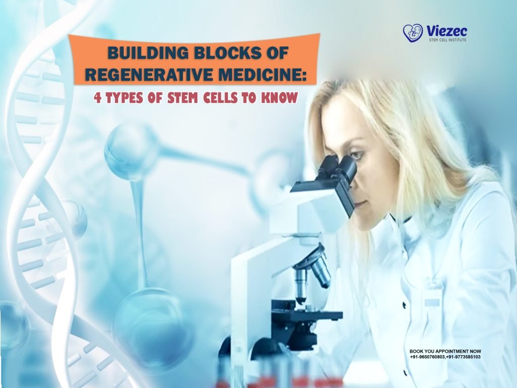 Building Blocks of Regenerative Medicine: 4 Types of Stem Cells to Know