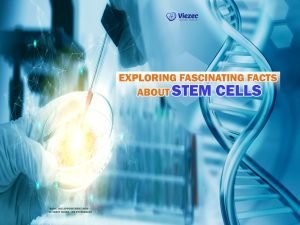 Exploring Fascinating Facts About Stem Cells