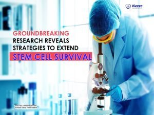Groundbreaking Research Reveals Strategies to Extend Stem Cell Survival