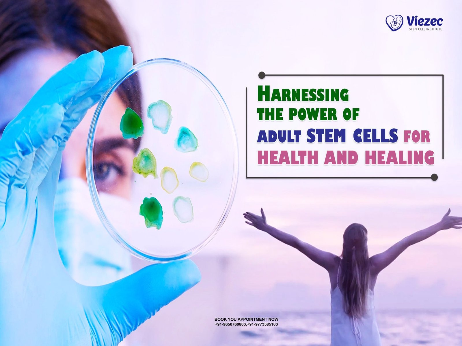 Harnessing the Power of Adult Stem Cells for Health and Healing