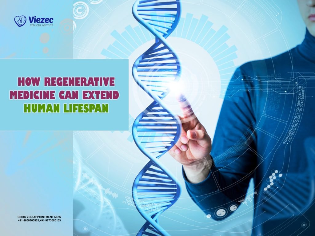 How Regenerative Medicine Can Extend Human Lifespan
