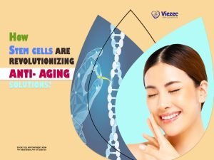 How Stem Cells Are Revolutionizing Anti-Aging Solutions