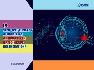 Is Stem Cell Therapy a Promising Approach for Optic Nerve Regeneration?
