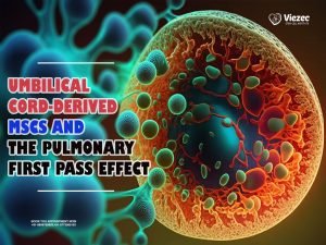 Umbilical Cord-Derived MSCs and the Pulmonary First Pass Effect