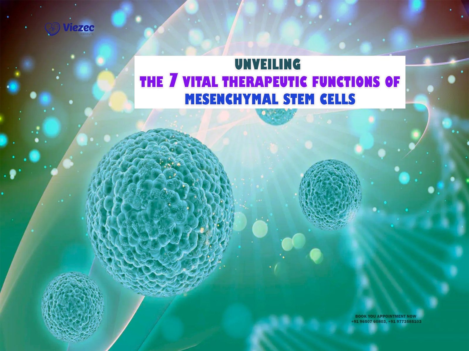 Unveiling the 7 Vital Therapeutic Functions of Mesenchymal Stem Cells