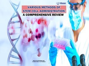 Various Methods of Stem Cell Administration: A Comprehensive Review