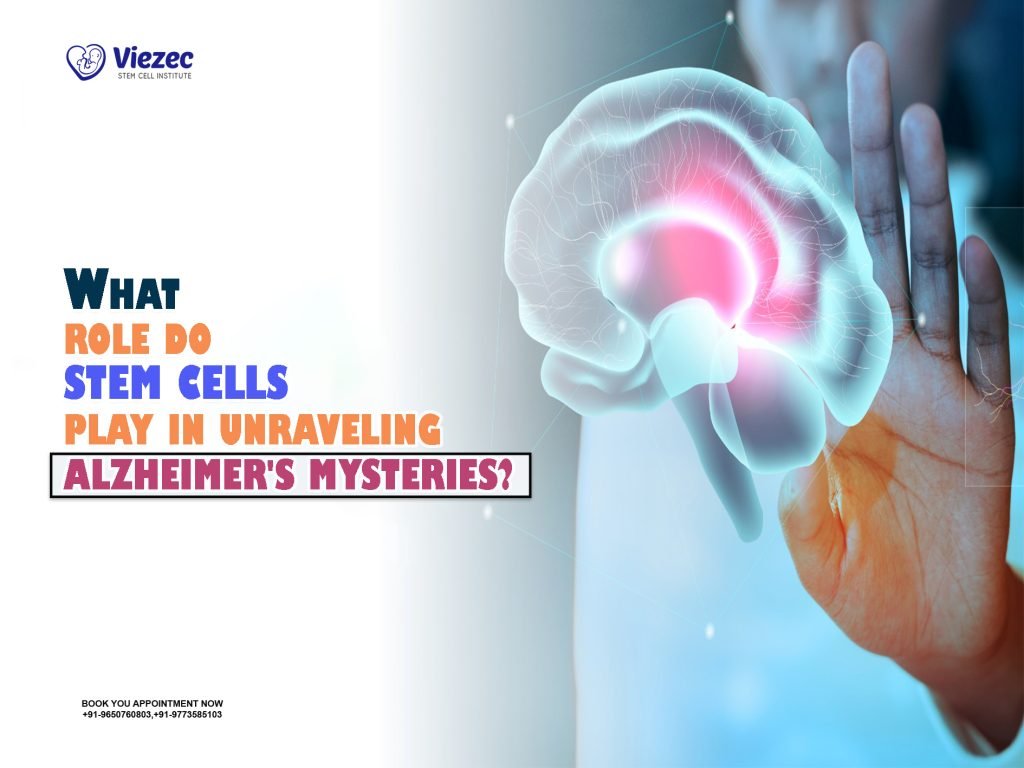 What Role Do Stem Cells Play in Unraveling Alzheimer's Mysteries?