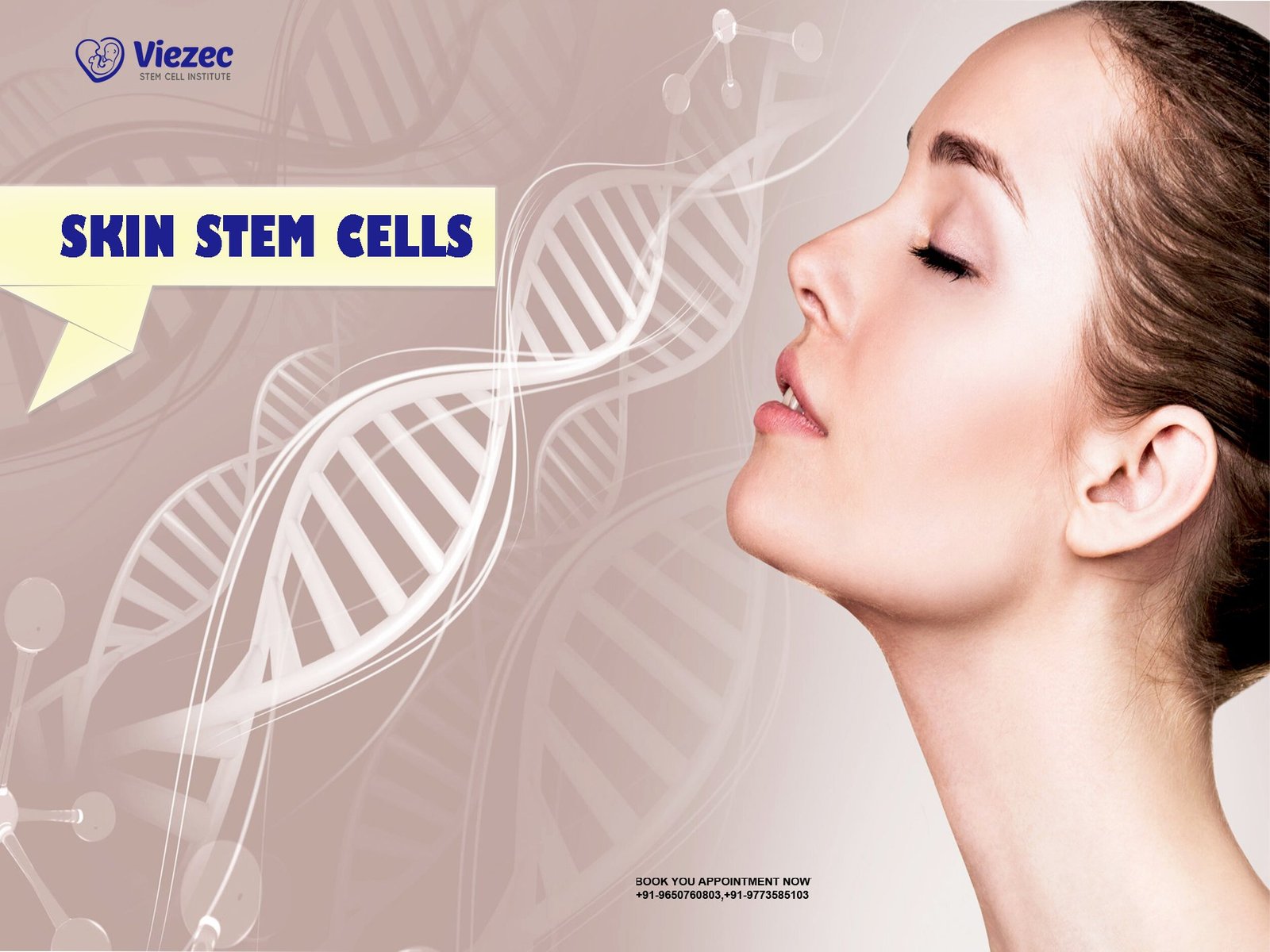 Skin Stem Cells