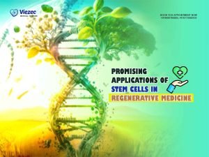 promising application of stem cell