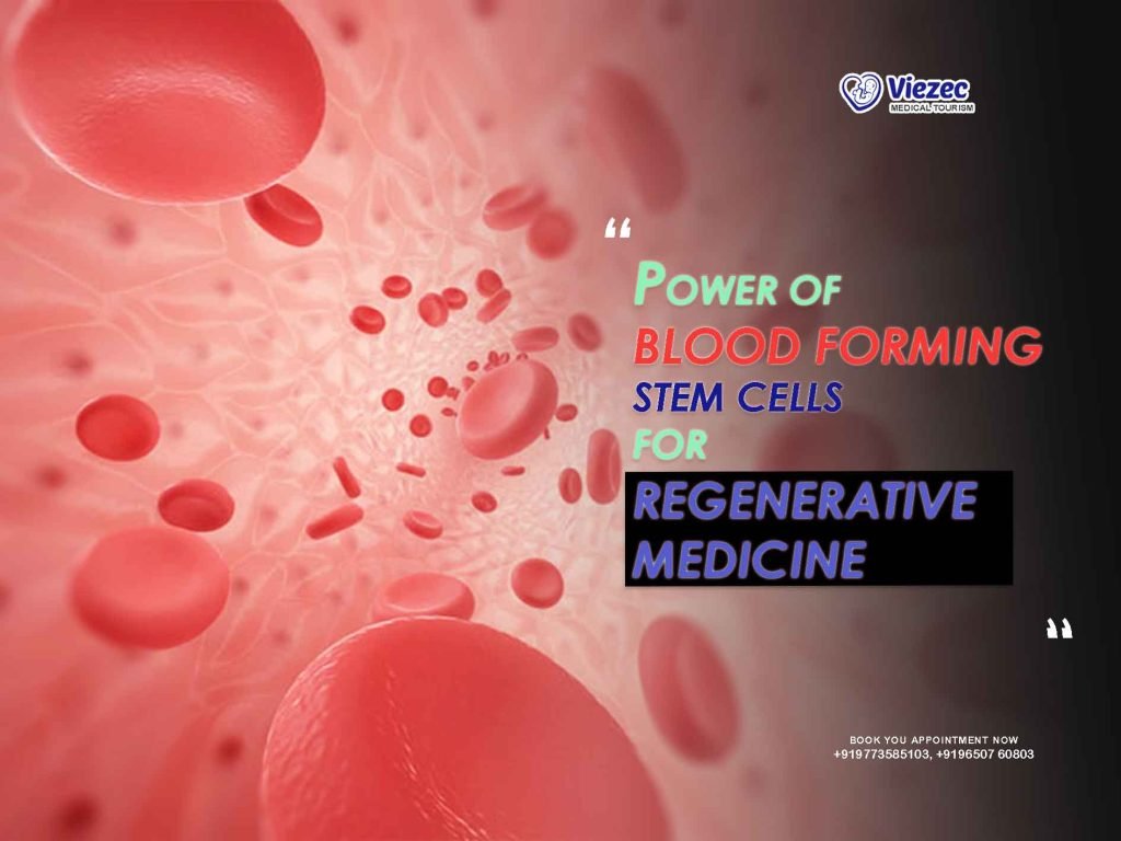 blood forming stem cells