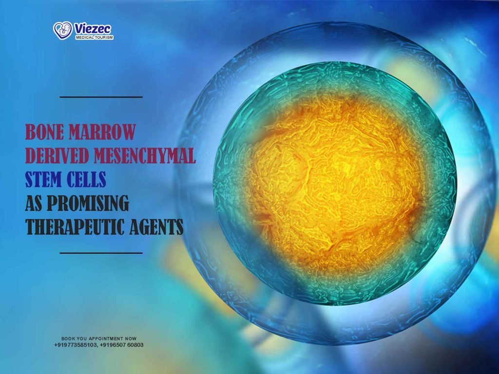Bone Marrow Derived Mesenchymal Stem Cells as Promising Therapeutic Agents
