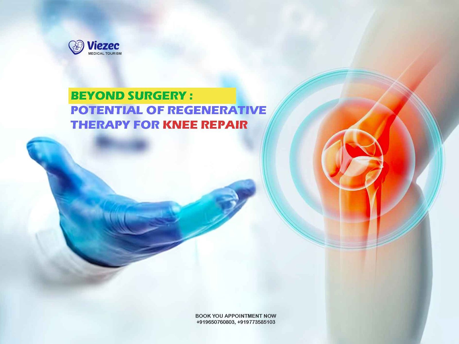 Regenerative Therapy for Knee Repair