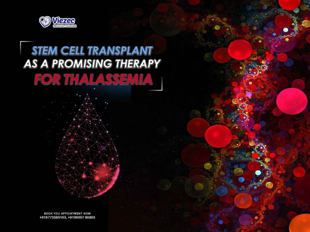 Stem Cell Transplant as a Promising Therapy for Thalassemia