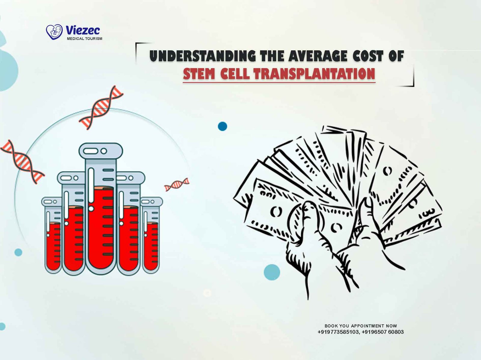 stem cell transplantation
