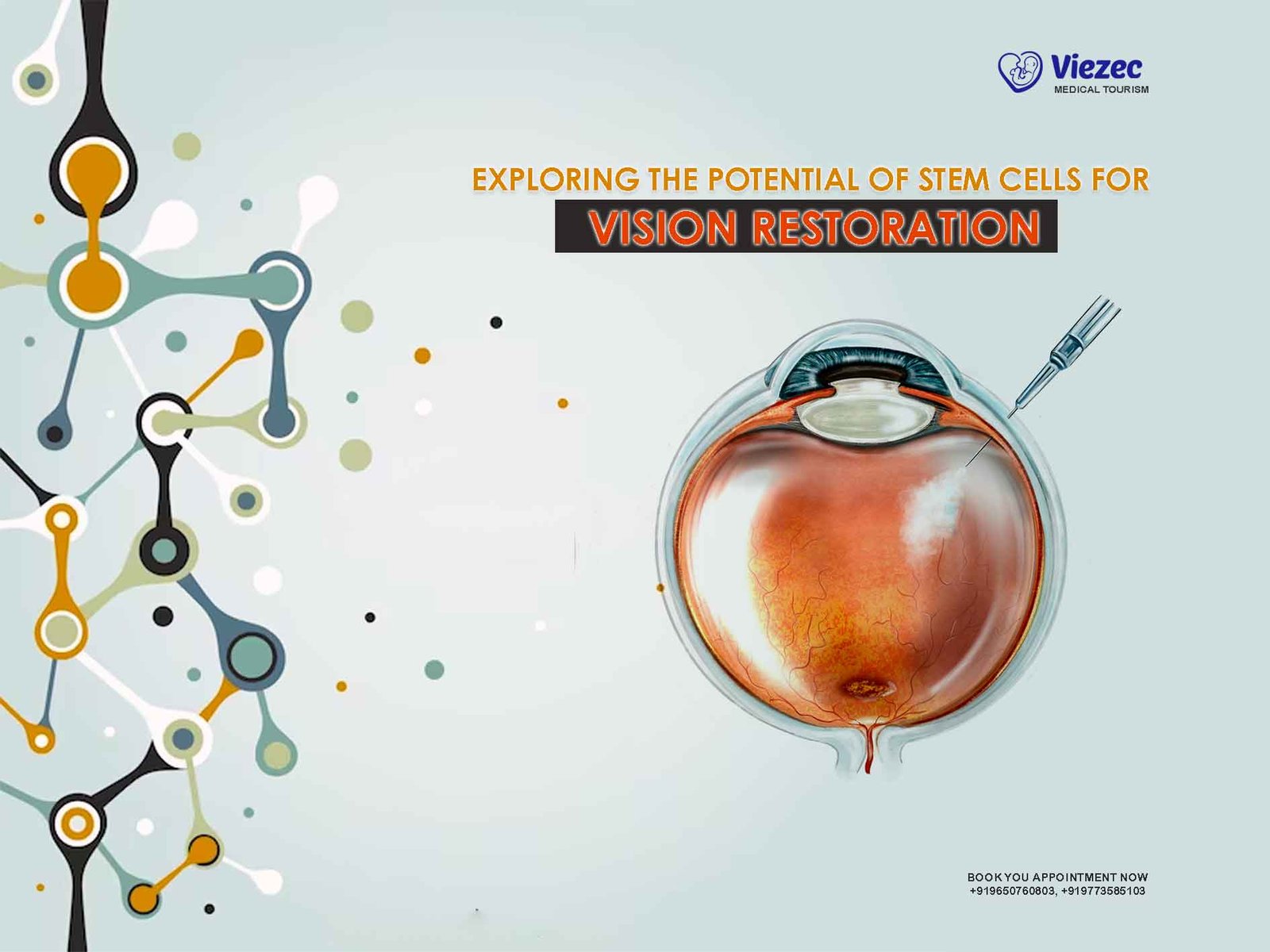 Vision Restoration